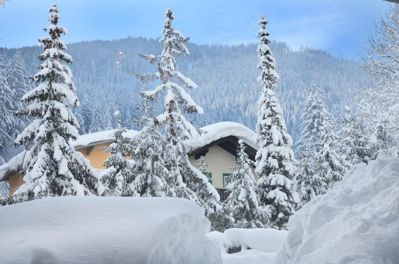 Appartementhaus Tirolerheim Zell am See Eksteriør billede